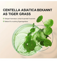 Centella Asiatica Tigergras auf Deutsch